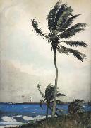 Winslow Homer Palm Tree,Nassau (mk44) Sweden oil painting artist
